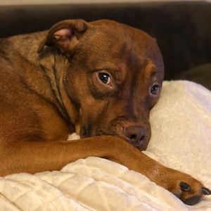 Meet your Posher, April